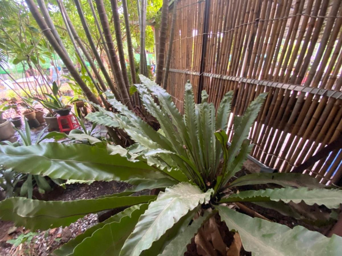 Mayuree Resort Udon Thani Bagian luar foto