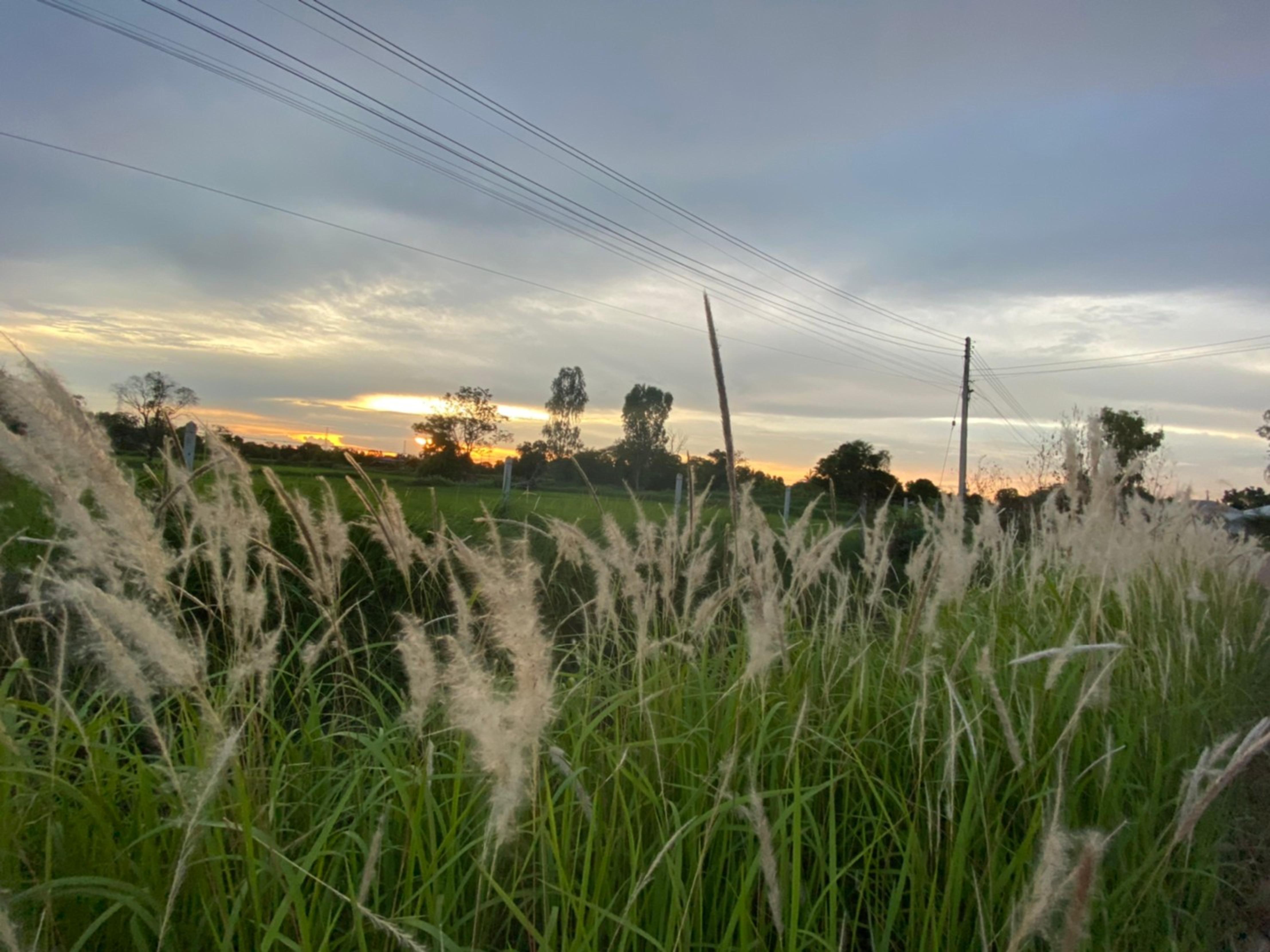 Mayuree Resort Udon Thani Bagian luar foto