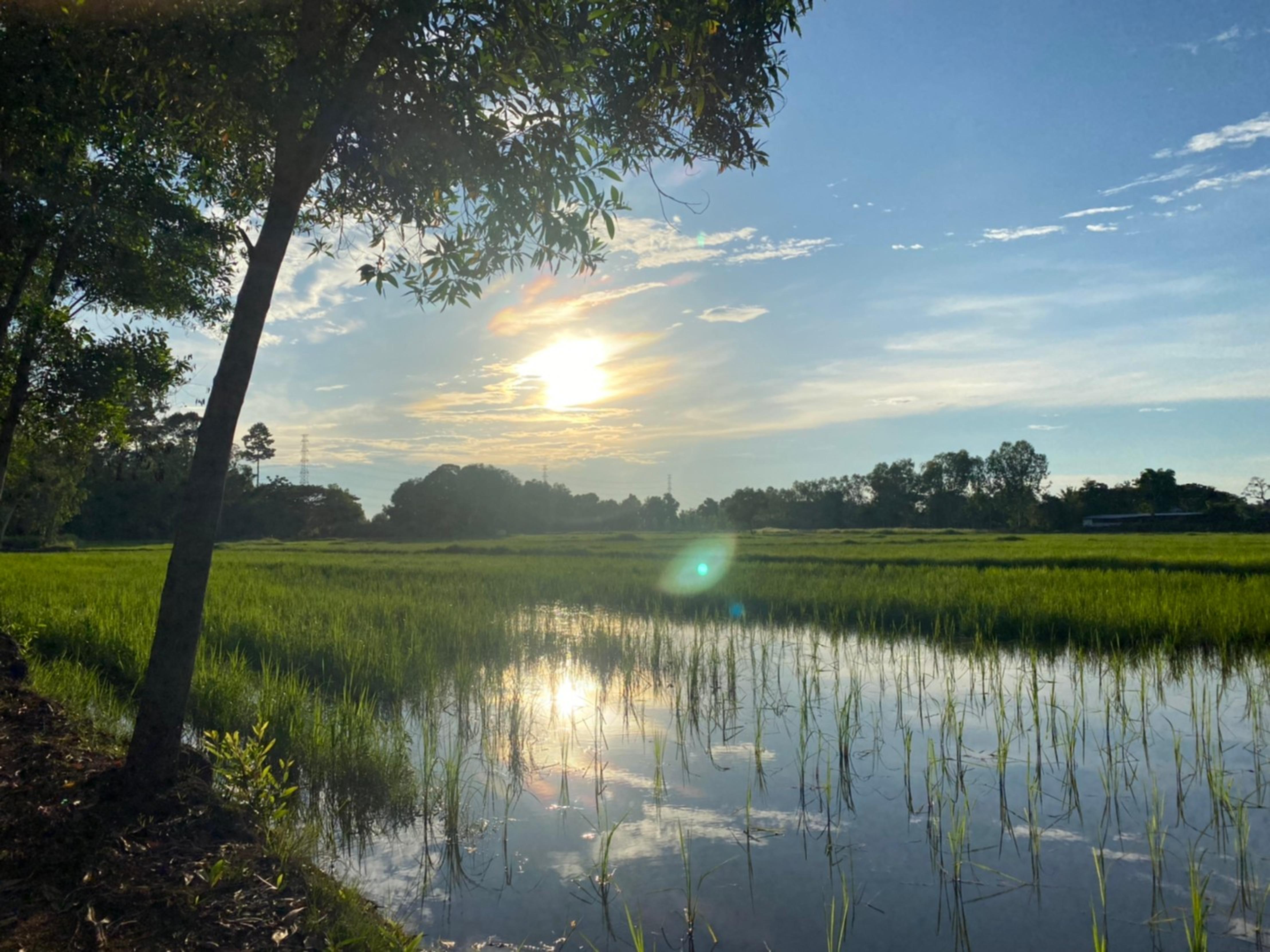 Mayuree Resort Udon Thani Bagian luar foto