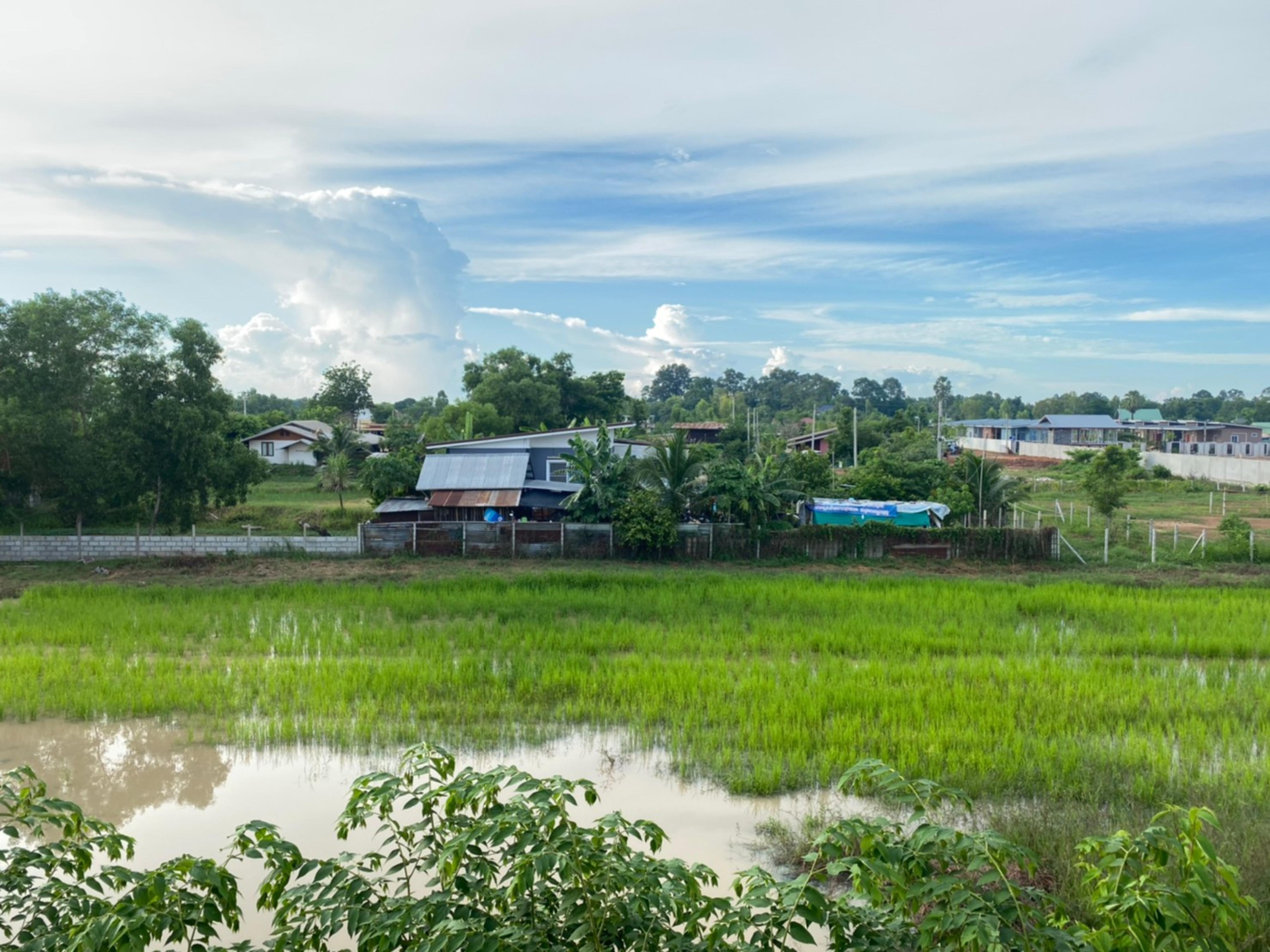 Mayuree Resort Udon Thani Bagian luar foto